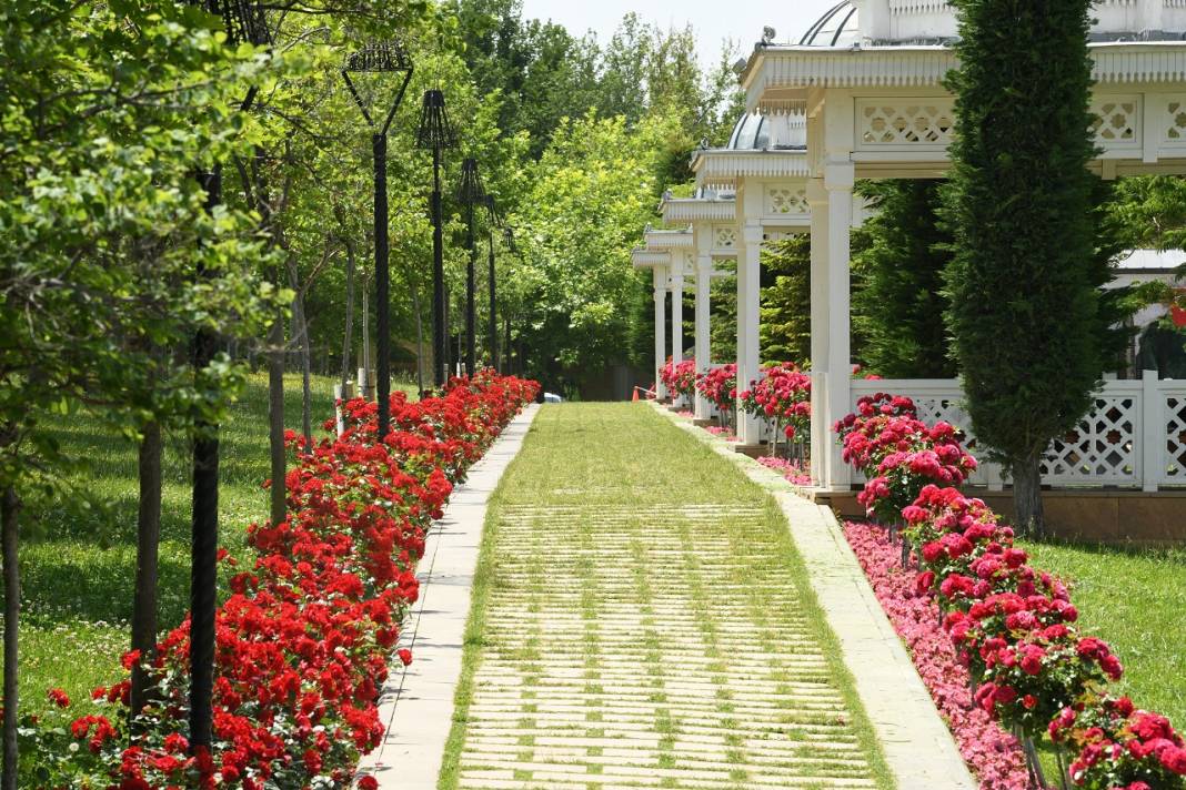 1,8 milyon çiçek, açtı: İşte göz kamaştıran Konya park ve caddeleri 11